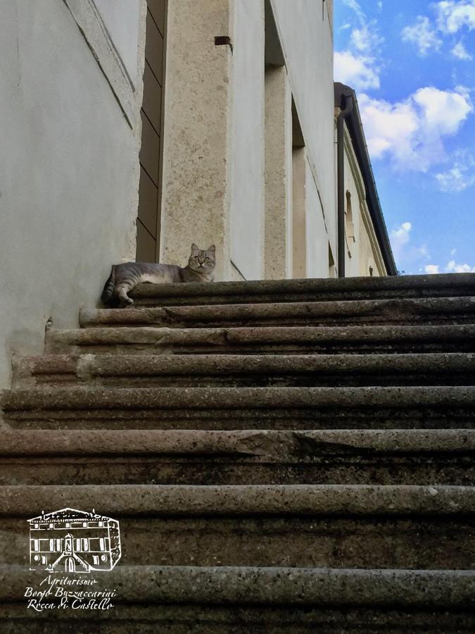 Agriturismo Borgo Buzzaccarini Rocca Di Castello Монселиче Экстерьер фото